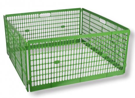 Kükenaufzucht - Sonstiges