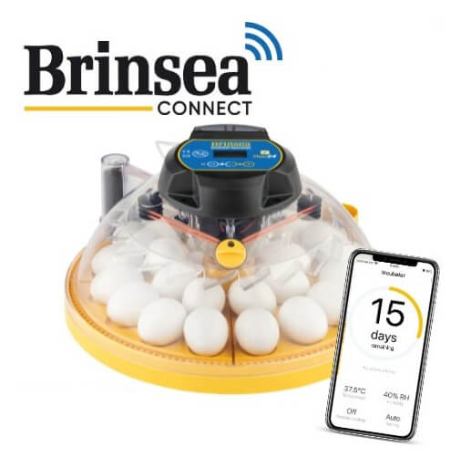 Maxi-Brutmaschine "Brinsea Maxi 24 EX Connect"