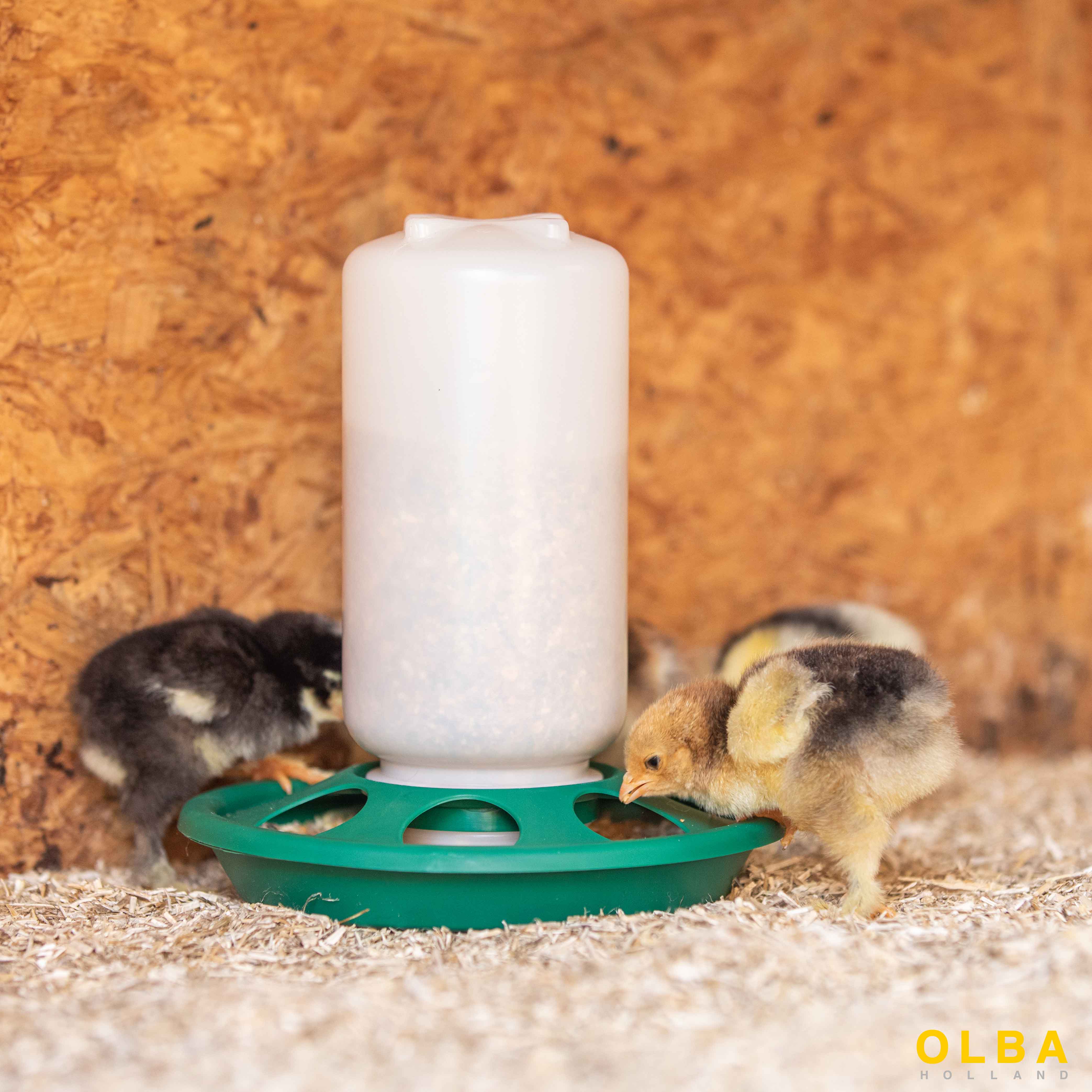 1kg-Feeder with 7 Holes