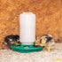 1kg-Feeder with 7 Holes