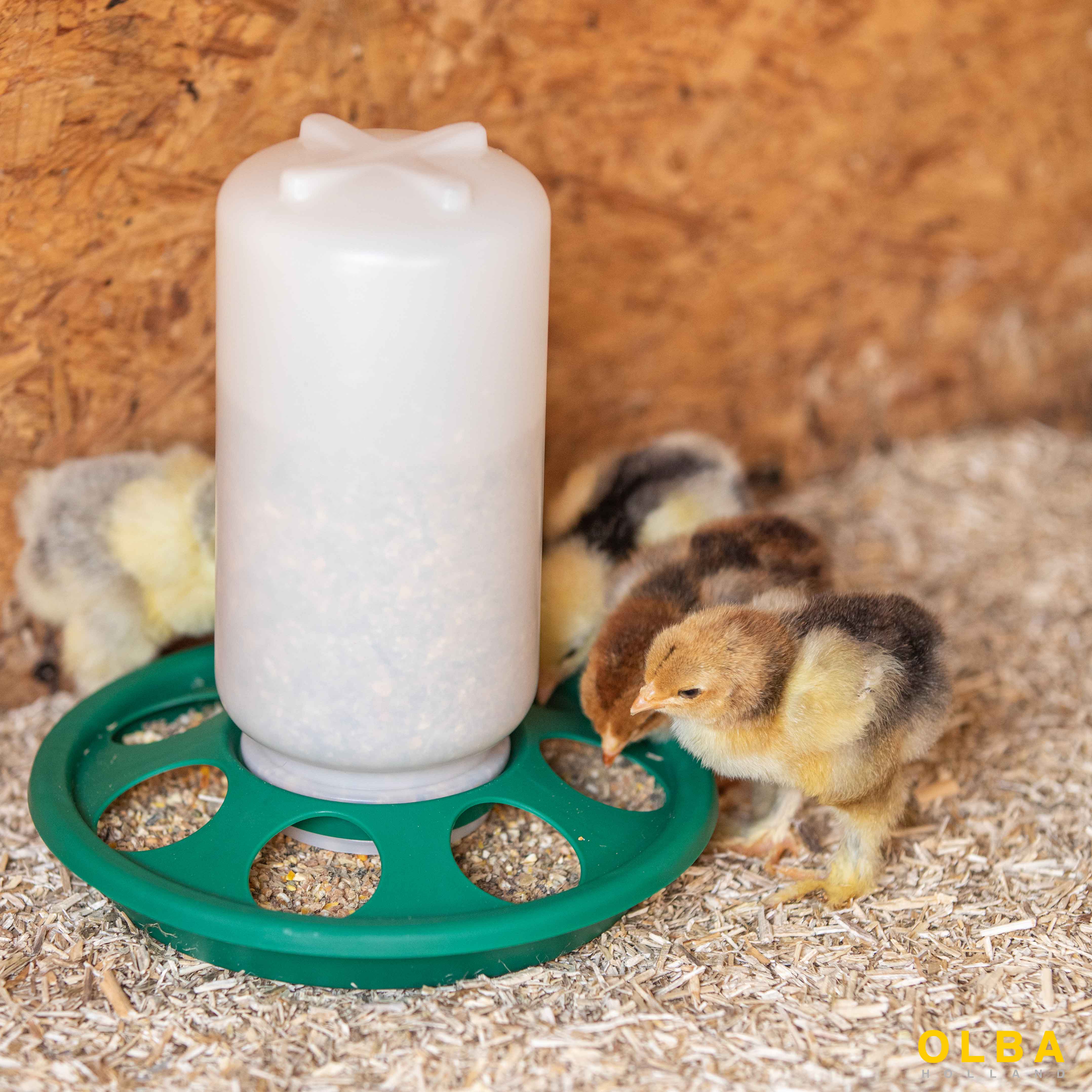 1kg-Feeder with 7 Holes