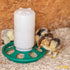 1kg-Feeder with 7 Holes