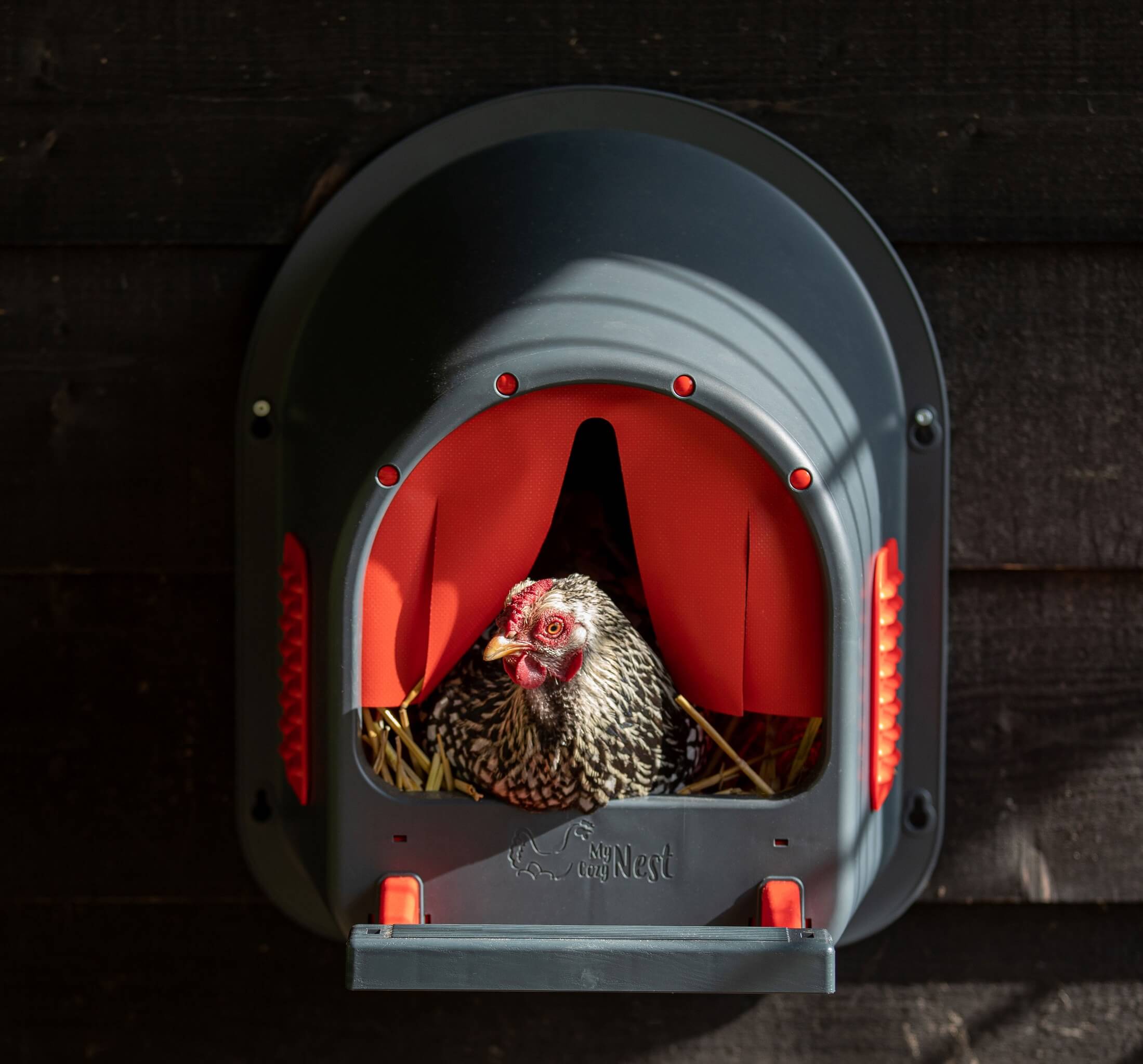 Einzel-Legenest aus Kunststoff