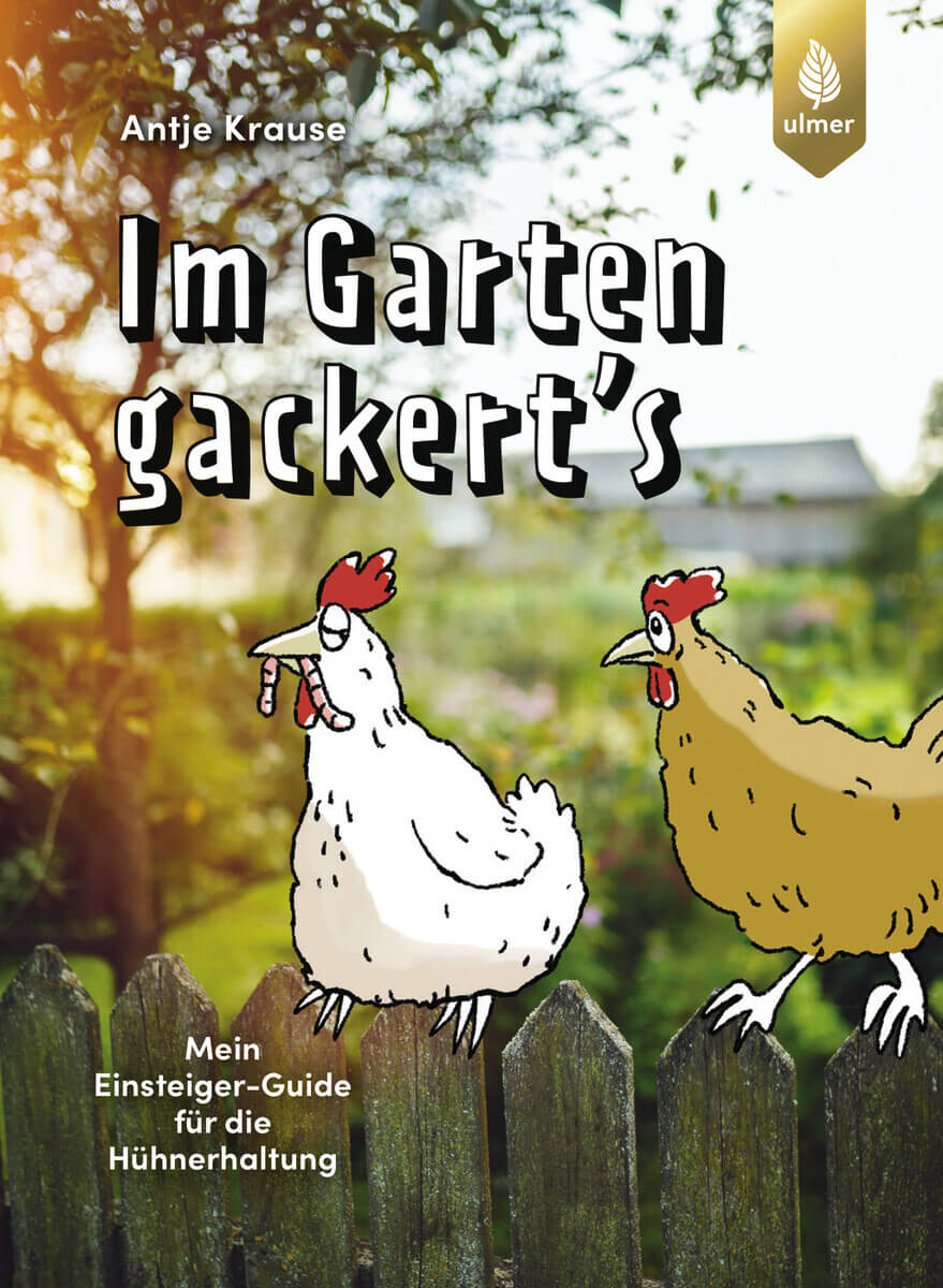 Im Garten gackert's - Mein Einsteiger-Guide für die Hühnerhaltung