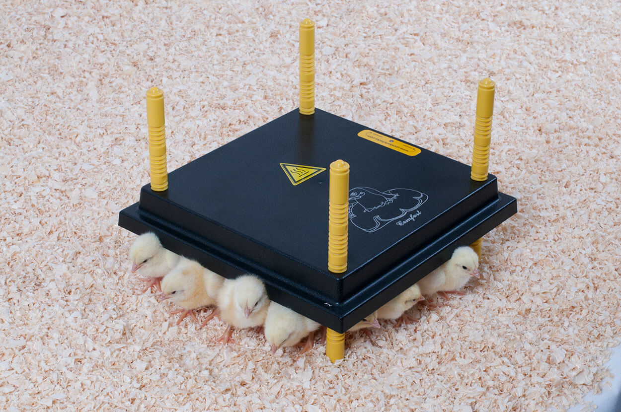 Kontakt-Wärmeplatte für ca. 25 Küken, 30cm x 30cm