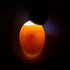 LED Egg Candler