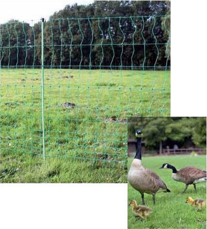 Poultry Nets (112cm)