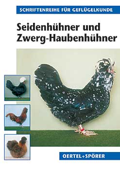 Seidenhühner und Zwerg-Seidenhühner