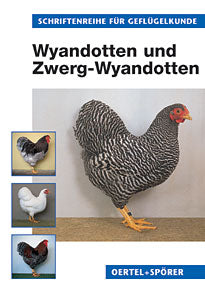 Wyandotten und Zwerg-Wyandotten