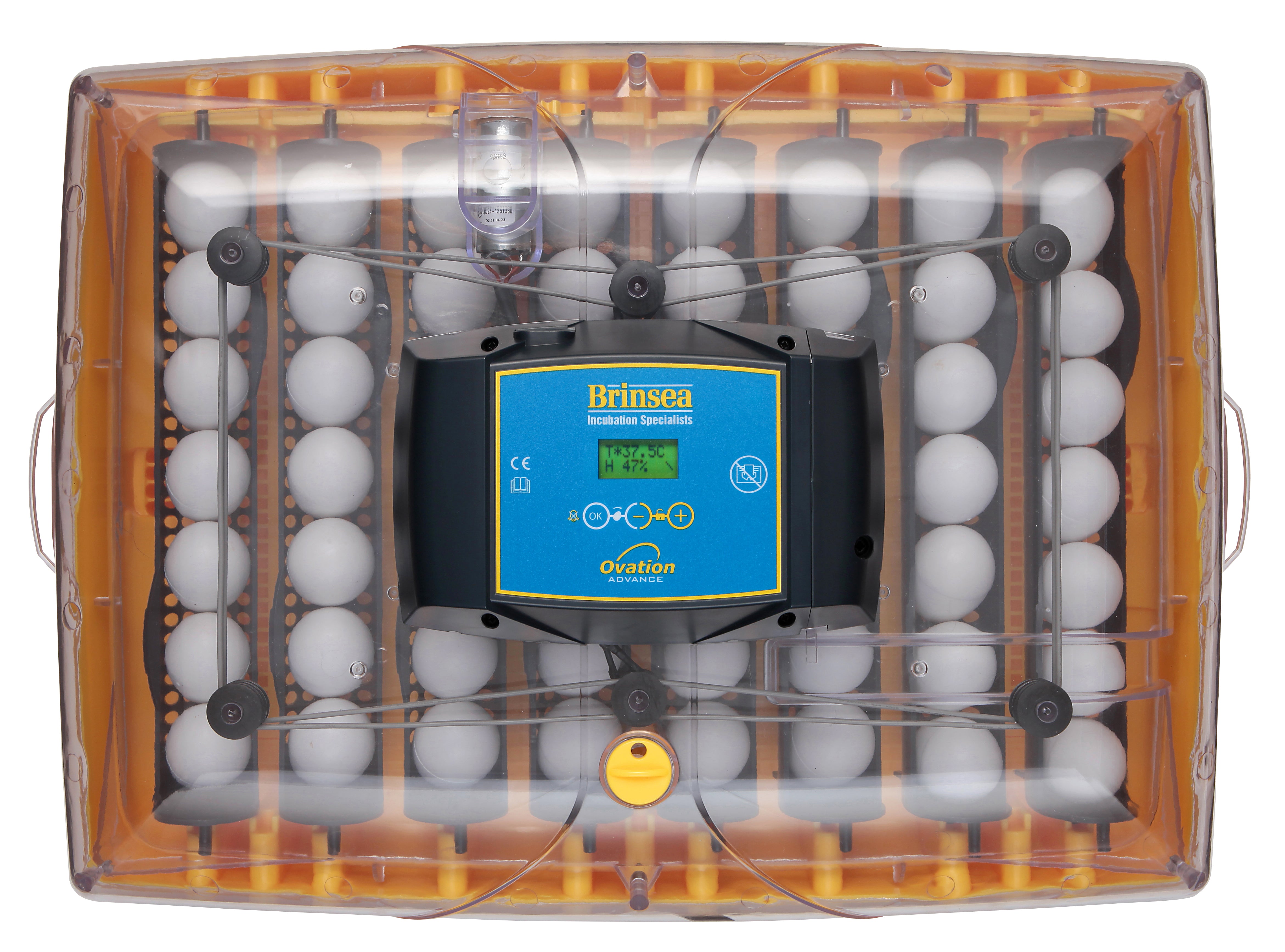 Kompakt-Brutmaschine "Brinsea Ovation 56 Advance"