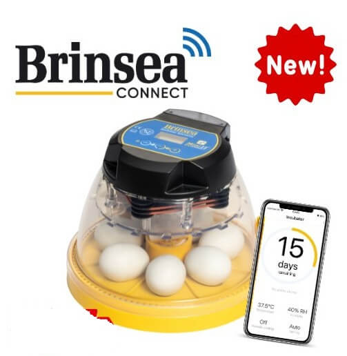 Mini-Brutmaschine "Brinsea Mini EX Connect" mit halbautomatischer Befeuchtung und App-Anbindung