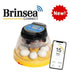 Mini-Brutmaschine "Brinsea Mini EX Connect" mit halbautomatischer Befeuchtung und App-Anbindung