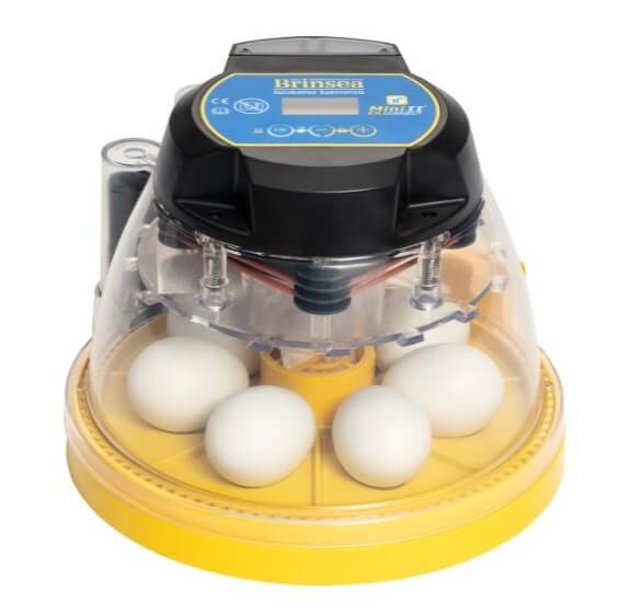 Mini-Brutmaschine "Brinsea Mini EX Connect" mit halbautomatischer Befeuchtung und App-Anbindung
