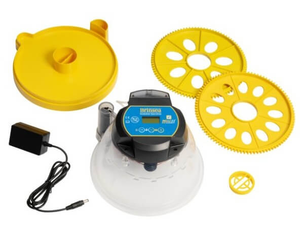 Mini-Brutmaschine "Brinsea Mini EX Connect" mit halbautomatischer Befeuchtung und App-Anbindung