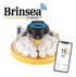 Maxi-Brutmaschine "Brinsea Maxi 24 EX Connect"