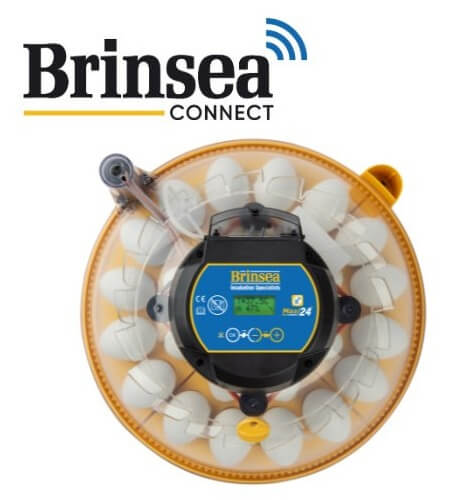 Maxi-Brutmaschine "Brinsea Maxi 24 EX Connect"