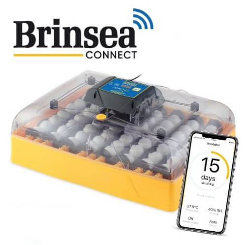 Egg-Incubator "Brinsea Ovation 56 Advance EX Connect"