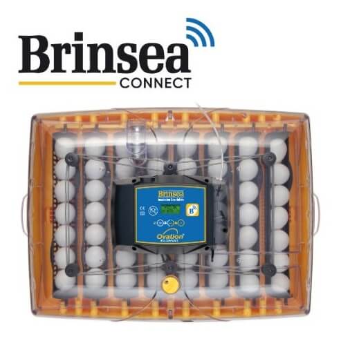 Egg-Incubator "Brinsea Ovation 56 Advance EX Connect"