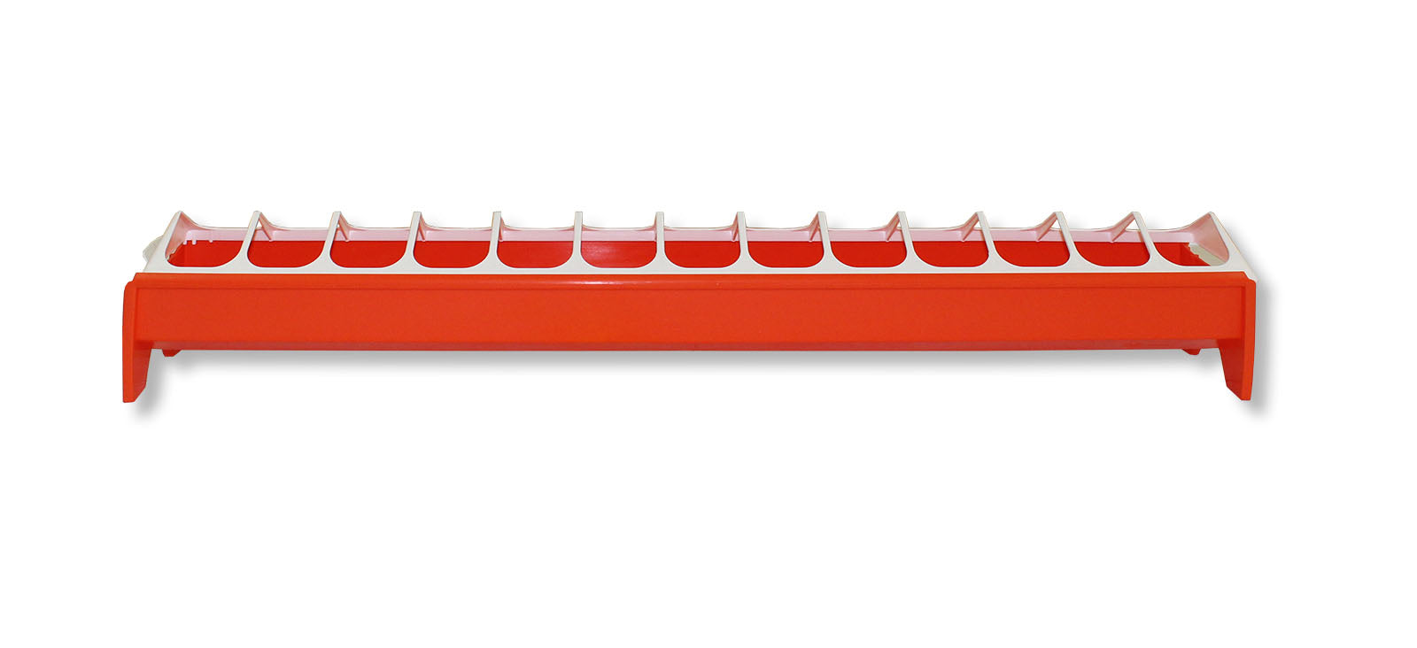 Pullet-Trough, plastic (50cm - 75cm)
