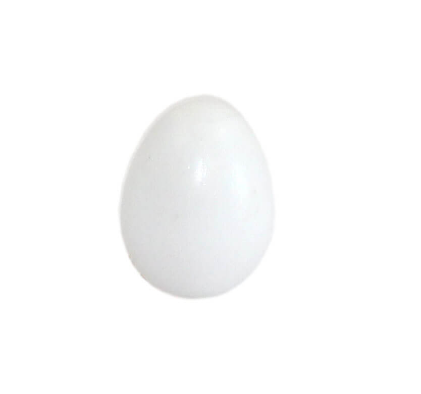 Plastic Eggs