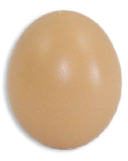 Plastic Eggs