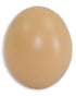 Plastic Eggs