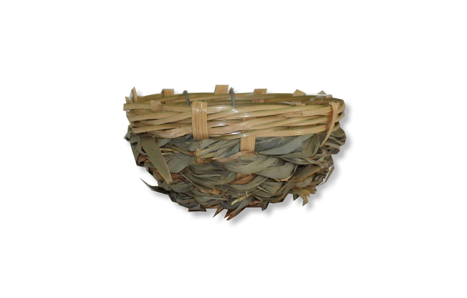 Bird-Nests