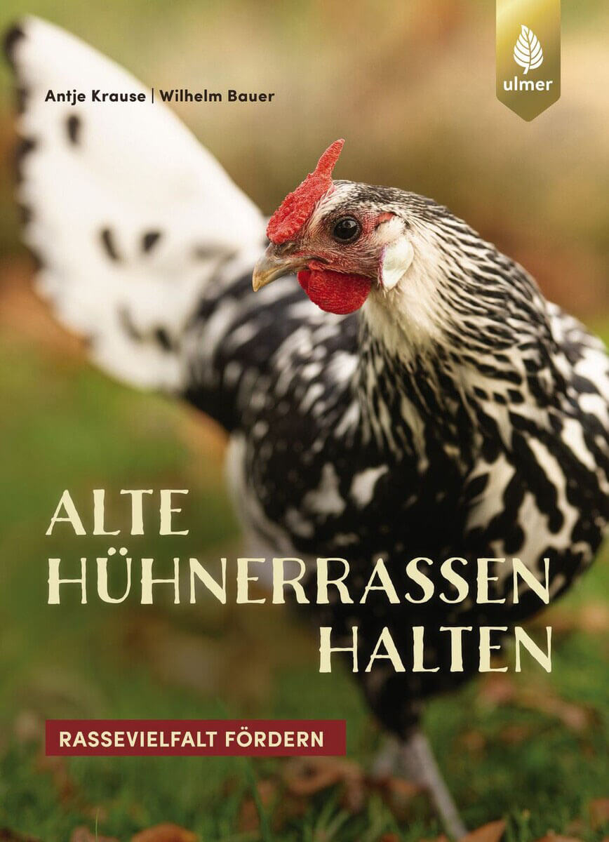Alte Hühnerrassen halten - Rassevielfalt fördern
