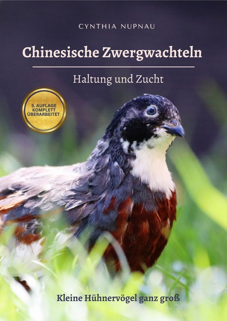 Chinesische Zwergwachteln - Haltung und Zucht