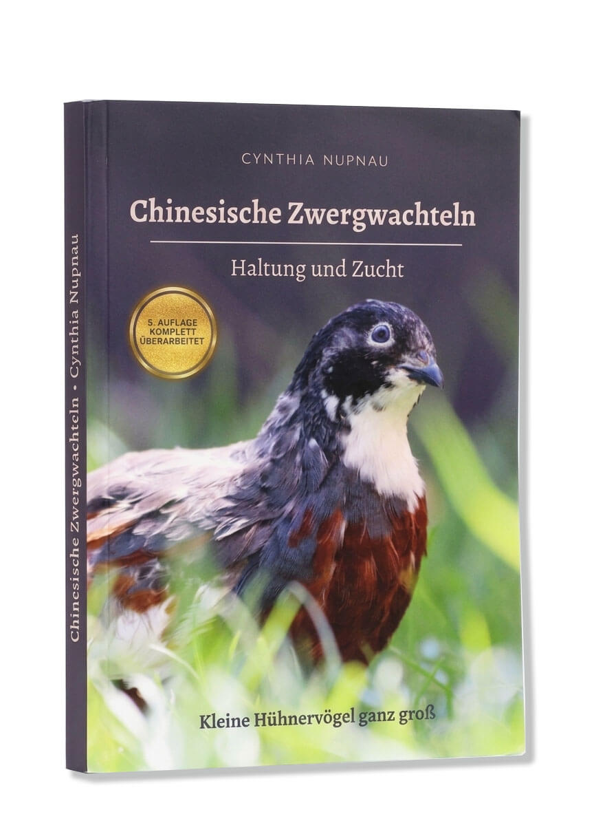 Chinesische Zwergwachteln - Haltung und Zucht