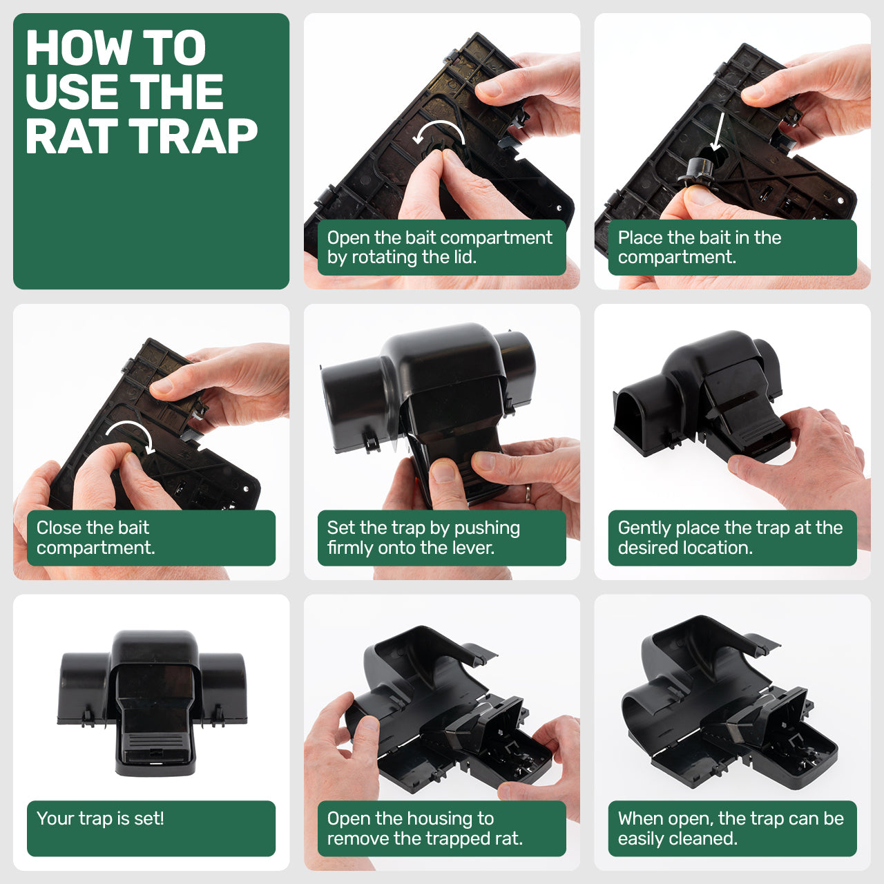 Trap for Rats