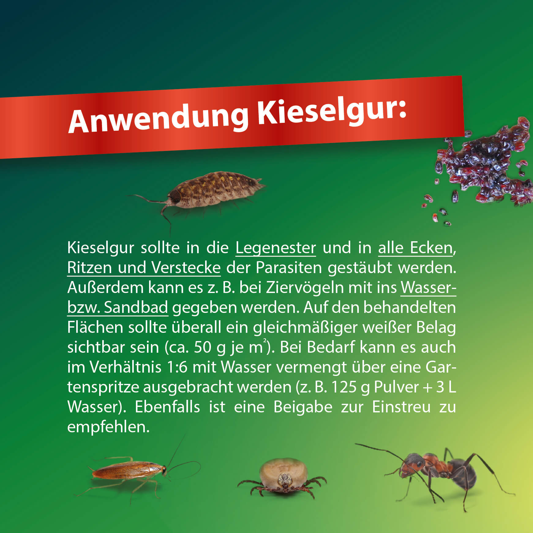 Röhnfried Kieselgur Pulver (600g) *INSEKTIZID* = nur tel. bestellbar