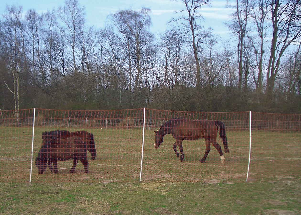 Extra-high Poultry Net (145cm) - Current-Carrying Net – HEKA-Brutgeräte