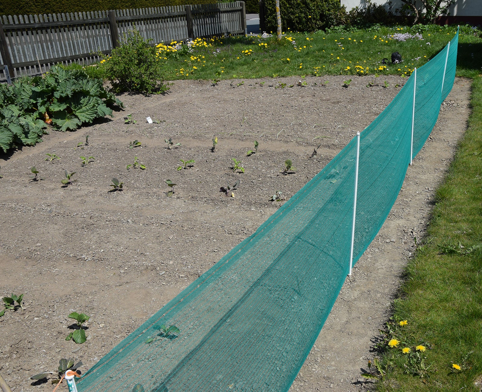 All-Purpose-Net, 80cm-high, 20m-long