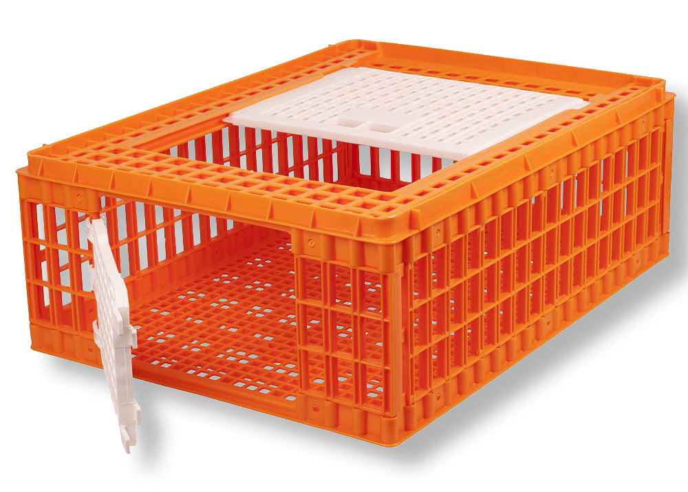 Carrier Boxes for Poultry, with Mesh Bottom - 29-42cm high
