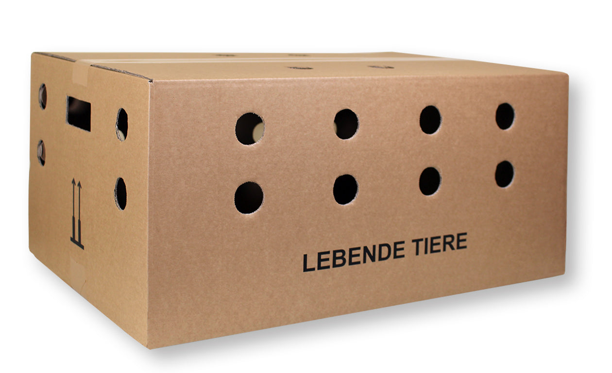 Cardboard Box for Chicken, 10pcs.