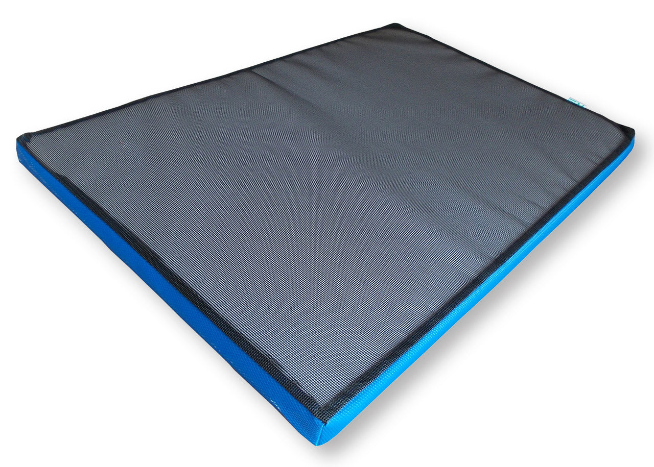 Disinfection Mat, 90x60x4cm