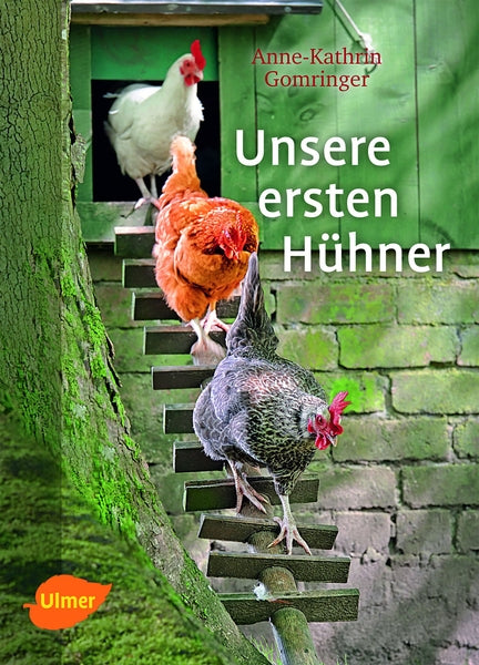 Unsere ersten Hühner