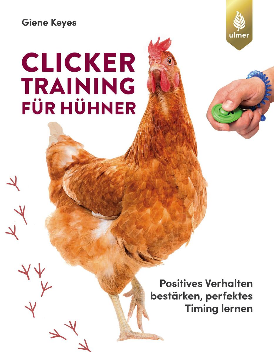 Clicker Training für Hühner