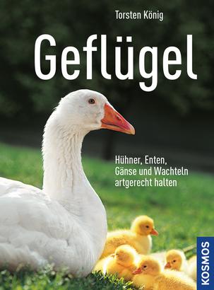 Geflügel - Hühner, Enten, Gänse und Wachteln artgerecht halten