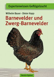 Barnevelder und Zwerg-Barnevelder