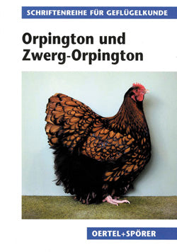 Orpington und Zwerg-Orpington