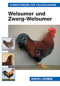 Welsumer und Zwerg-Welsumer