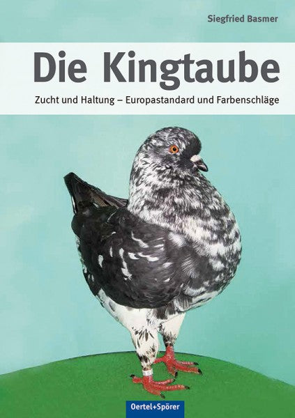 Die Kingtaube