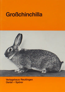 Großchinchilla