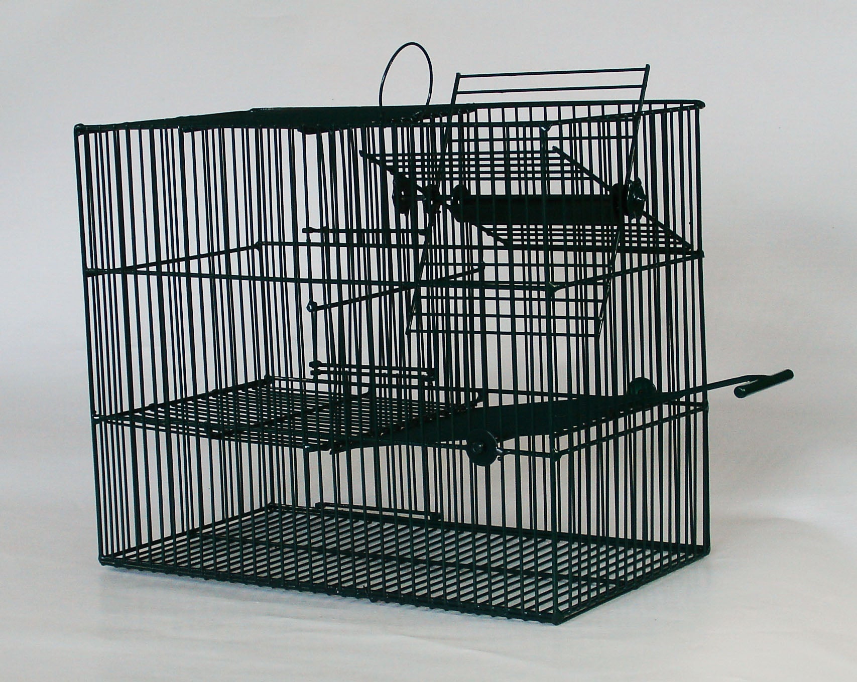 Bird-Trap for Mass Trapping