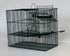 Bird-Trap for Mass Trapping