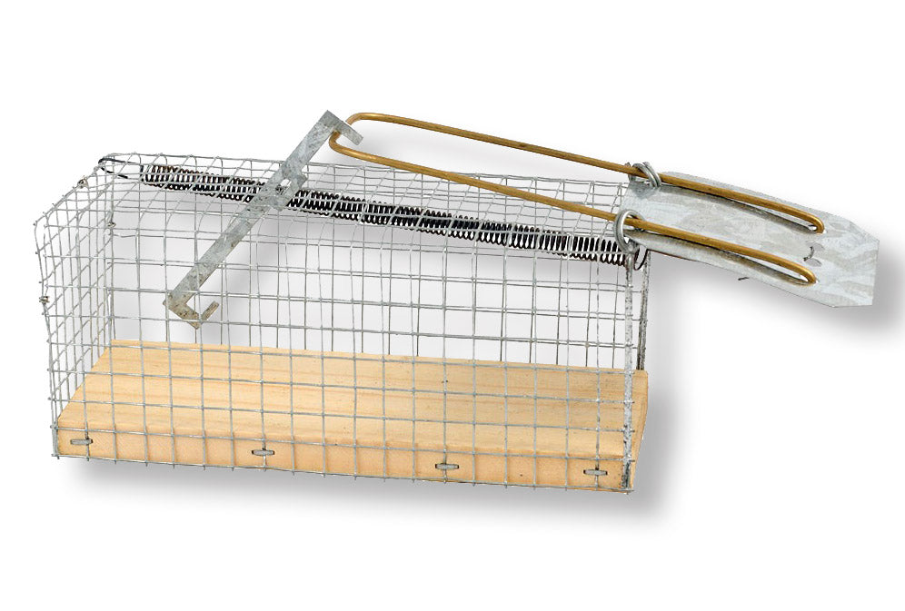 Cage Trap for Mice