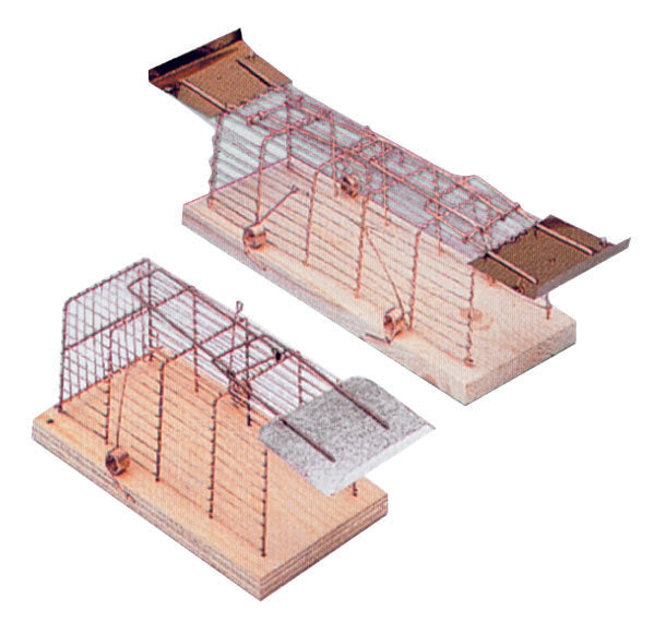 Cage Trap for Rats