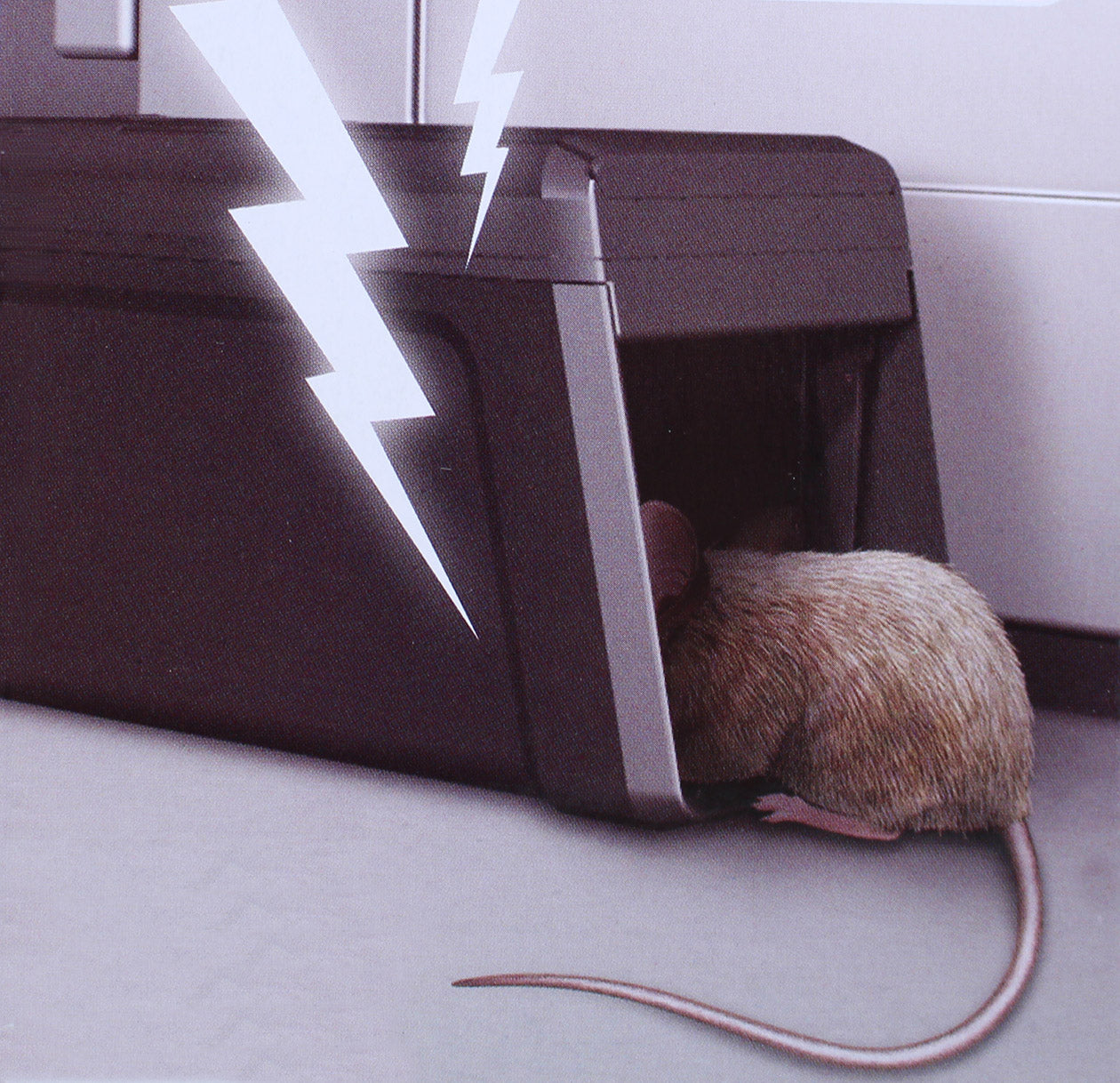 Elektrische Falle für Mäuse oder Ratten